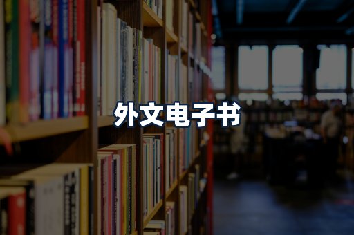 外文电子书